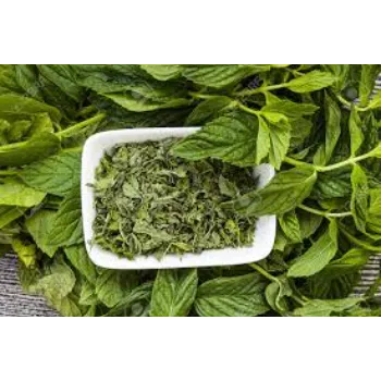 Coolness Dry Mint Leaves